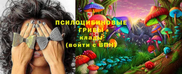 каннабис Аркадак