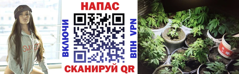 Канабис VHQ  Нижний Ломов 